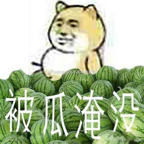 黑料吃瓜中心必吃大瓜,必吃大瓜背后的惊人真相