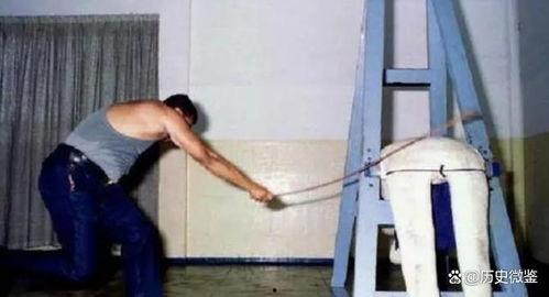 新加坡鞭刑视频,法律与人性的较量