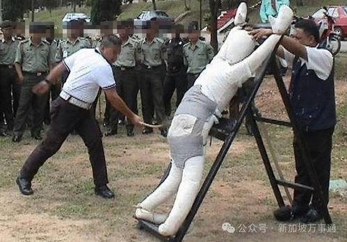 新加坡鞭刑视频,法律与人性的较量
