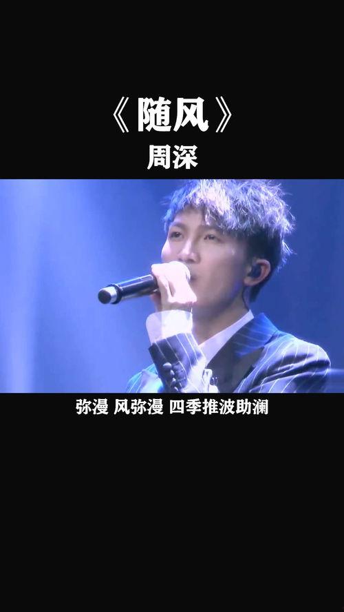 随风视频,揭秘随风视频的魅力与影响力