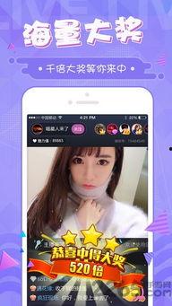 XXOo在线视频,揭秘XX领域的精彩瞬间