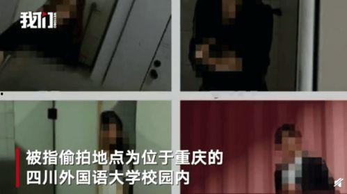 美女厕所视频,一场视觉与心理的碰撞