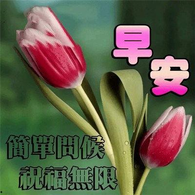 早上好视频图片加音乐,音乐唤醒美好早晨
