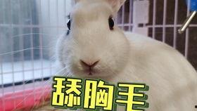 吃瓜爆料抖音网红美女,揭秘瓜田里的时尚达人”