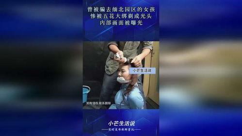 五花大绑剃光头视频,一场震撼的视觉体验