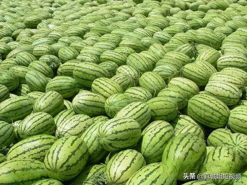 今日吃瓜每日更新必吃大瓜,紧跟热点，揭秘娱乐圈最新动态
