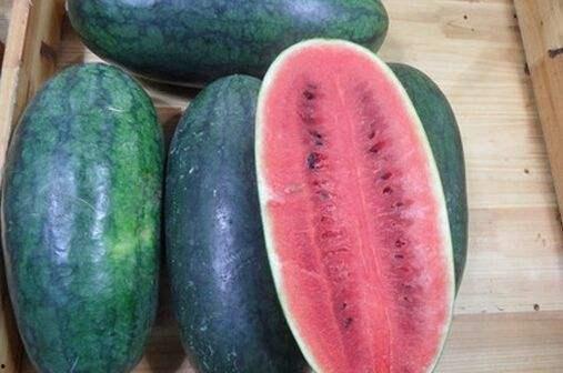 红料爆料黑料吃瓜导航,红料黑料一网打尽，吃瓜导航带你畅游娱乐圈
