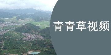 青青草线视频,揭秘青春校园的青春旋律