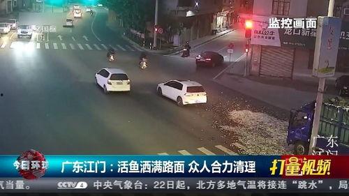 江门视频拍摄,镜头下的城市魅力掠影