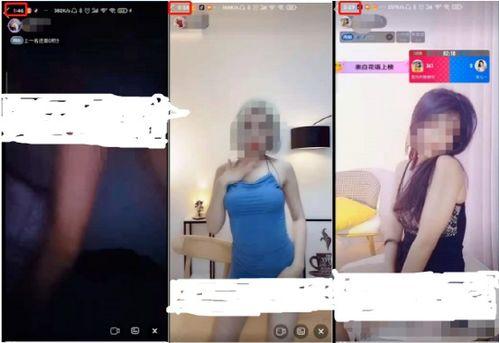 性视频直播,现象解析与伦理探讨