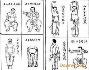 八段锦视频口令,轻松养生，健康生活新体验