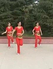 藏族广场舞视频大全,藏族广场舞视频大全魅力展现