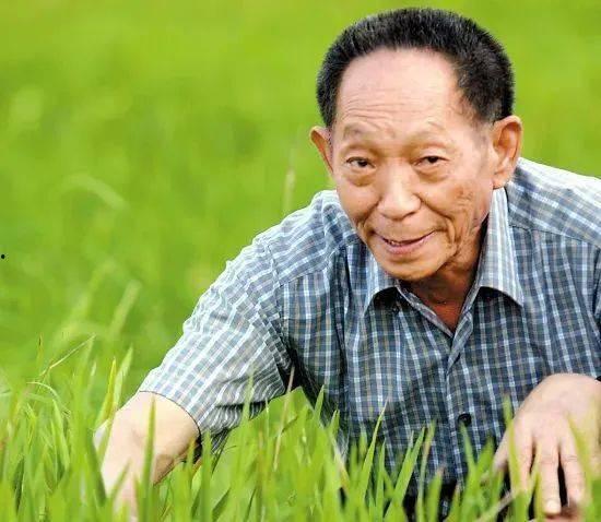 吃瓜爆料袁隆平是真的吗,吃瓜爆料背后的真实故事