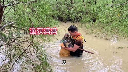 抓鱼视频,揭秘海洋生态的奇妙世界