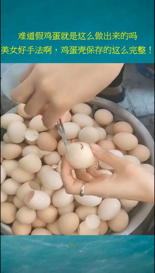 假鸡蛋是怎么做的视频,视频带你走进神秘实验室