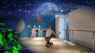 月光下的凤尾竹舞蹈教学视频,凤尾竹舞蹈教学视频赏析