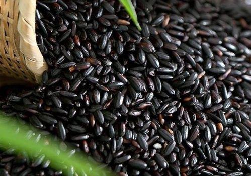 吃瓜圣地 黑料,黑料背后的真相与反思