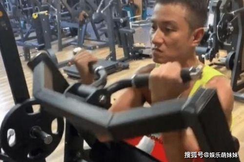 撸铁视频,揭秘肌肉塑造秘诀