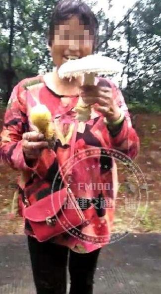 采蘑菇视频,跟随采蘑菇视频，体验大自然的馈赠
