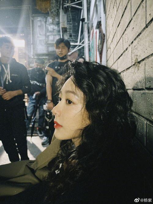 网红吃瓜免费爆料合集在线观看,免费在线观看，揭秘娱乐圈幕后真相！