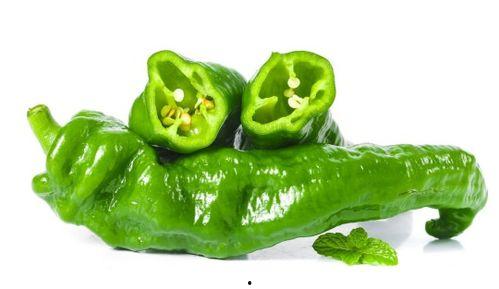 温州今日瓠瓜价格走势,波动中寻求平衡