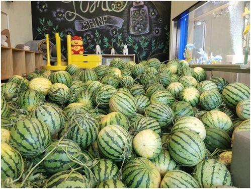 今日吃瓜 51,揭秘娱乐圈最新热点事件