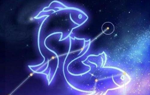 双鱼视频,探索梦幻与现实的交融之美