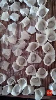 怎样包馄饨视频慢动作,慢动作解析每一道工序