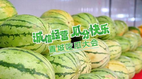 今日吃瓜乐,揭秘娱乐圈最新热点事件