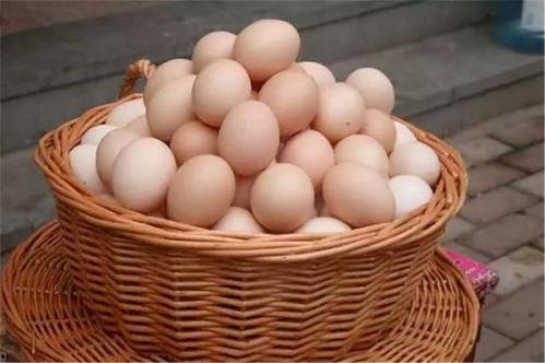 全家带蛋吃瓜真假千金爆料,全家带蛋吃瓜事件真相揭秘