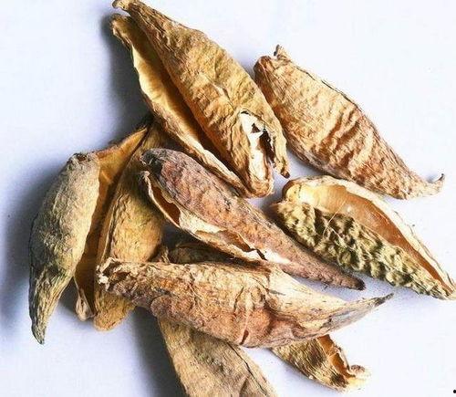 今日梢瓜价格,市场行情一览”