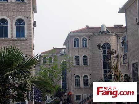 瓜山东苑今日新闻,聚焦社区发展新动态