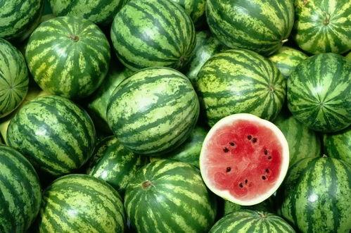 中国吃瓜爆料群有哪些名字,中国吃瓜爆料群，揭秘那些鲜为人知的群名背后的故事