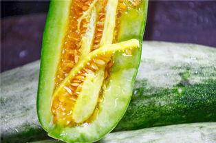 最新网红爆料吃瓜,娱乐圈最新吃瓜大事件，揭秘明星幕后真相！