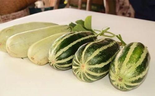 最新网红爆料吃瓜,娱乐圈最新吃瓜大事件，揭秘明星幕后真相！