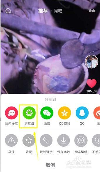 怎样把抖音视频发到朋友圈,抖音视频一键导入朋友圈，操作指南大揭秘