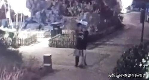 看爆料吃热瓜大事件兰州老街,揭秘看爆料，热瓜大事件背后的故事