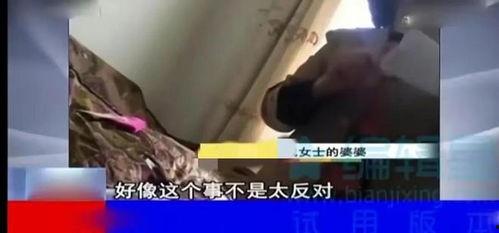 借种视频,科技助力农业创新之路