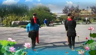 吉特巴双人舞视频大全,双人舞视频大全赏析