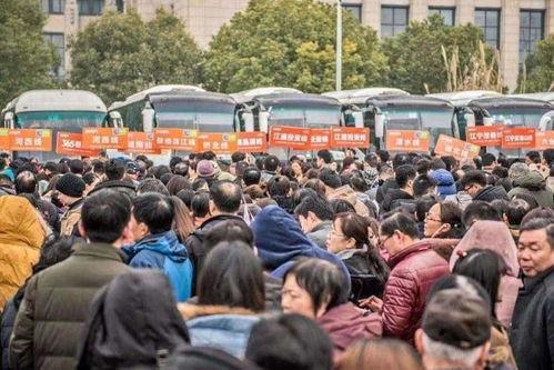 南京瓜娄村今日新闻,探寻古村新颜，见证乡村振兴之路