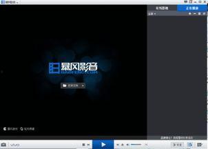 本地视频播放软件,功能解析与使用心得