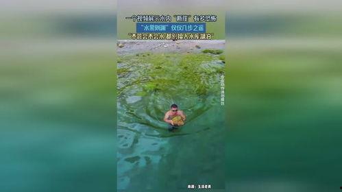 水多视频,揭秘水资源利用与保护的奥秘