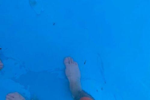 水多视频,揭秘水资源利用与保护的奥秘