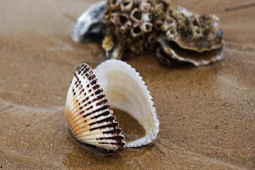 贝壳视频,探索房产新视角，解锁美好居住生活