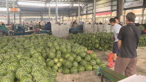 盐城今日瓜价,新鲜瓜果价格一览