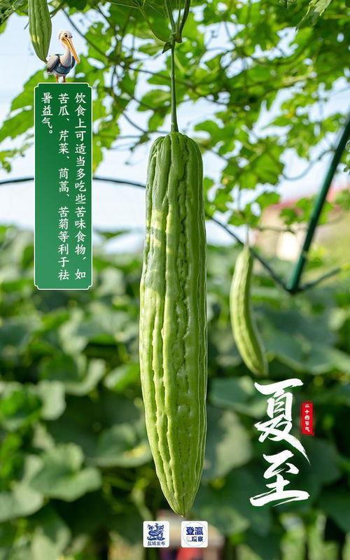 盐城今日瓜价,新鲜瓜果价格一览