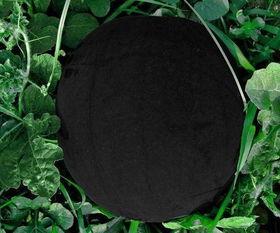 吃瓜就吃带黑纹的,揭秘黑纹瓜的独特风味