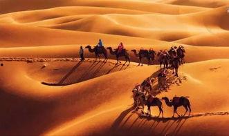 丝绸之路视频,探寻古代商贸文明的辉煌足迹