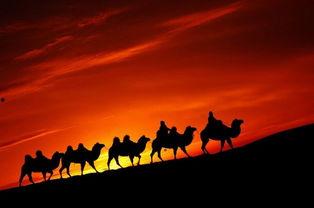 丝绸之路视频,探寻古代商贸文明的辉煌足迹