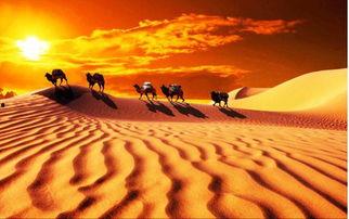 丝绸之路视频,探寻古代商贸文明的辉煌足迹